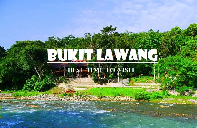 Bukit Lawang
