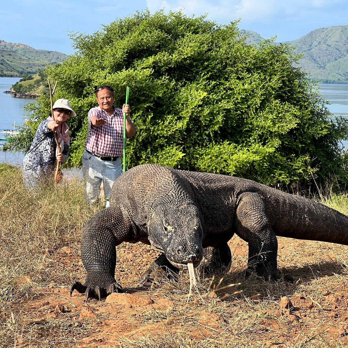 Komodo National Park