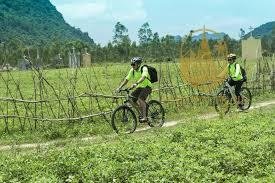 Cycling tours in Phong Nha