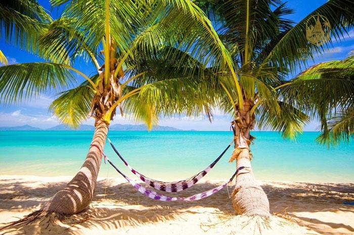 Vietnam Beach Holidays: Discover the Best Beach Destinations in Vietnam