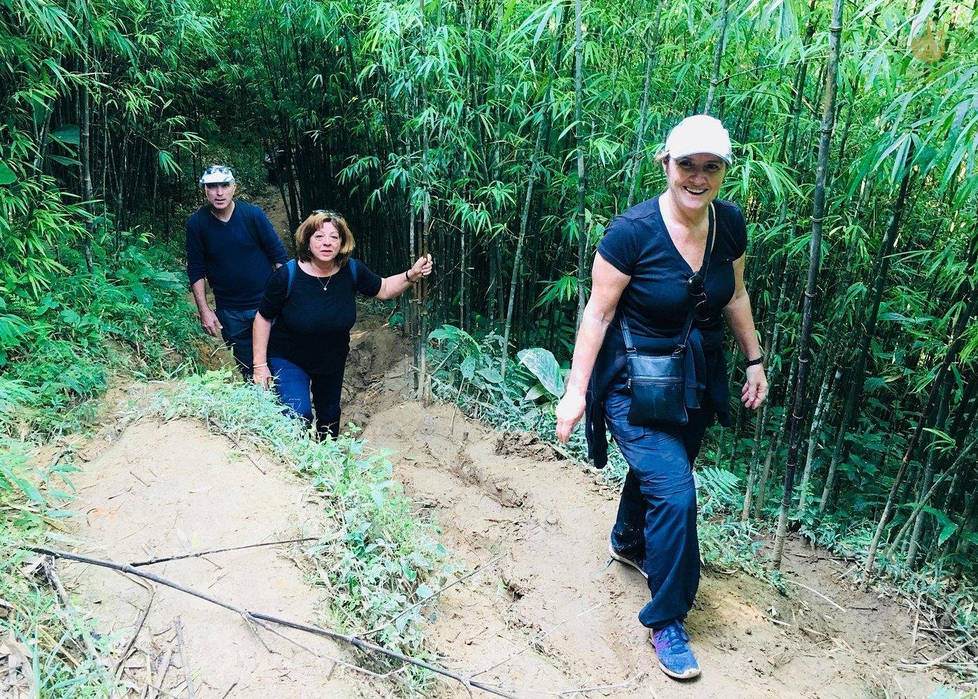 Phong Nha Trekking Tour: Explore the Heart of Vietnam's Natural Wonders