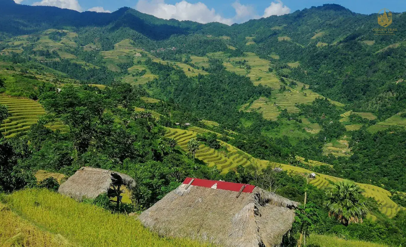 Trekking Hoang Su Phi 8 Days | Vietnam Rice Terraces Tour