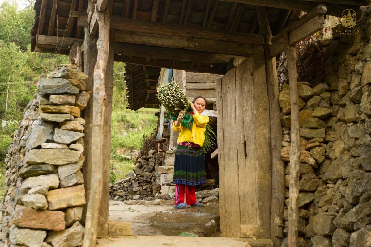 The Lens of the North: An Epic Guide to a Ha Giang Photography Tour