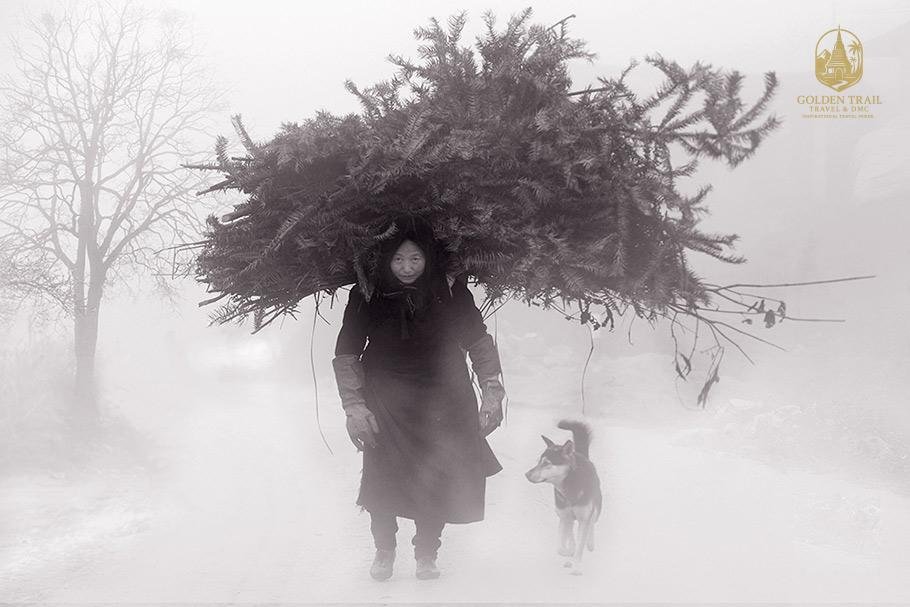 Conquering the Cold: A Guide to the Unforgettable Ha Giang Winter Adventure