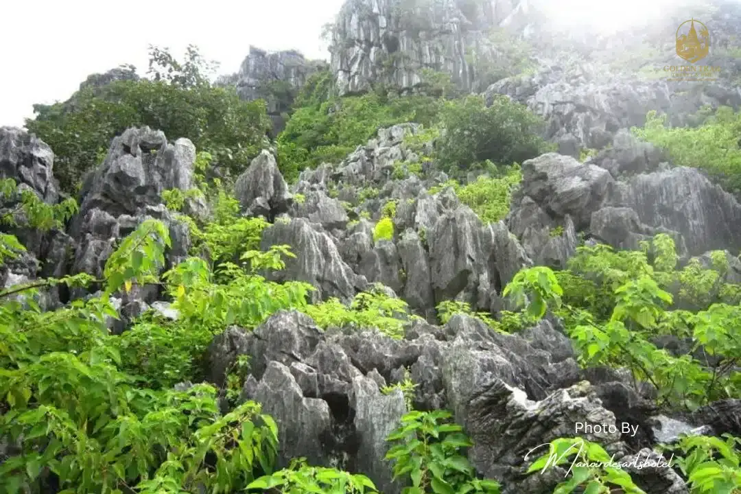 Elephant Mountain: A Guide to the Majestic Trek and Hidden Secrets of Cat Ba