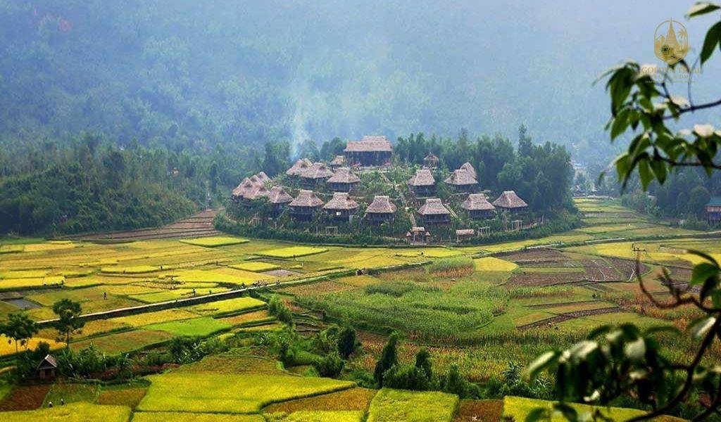The Mai Chau Rice Terraces: A Guide to the Valley's Beating Heart
