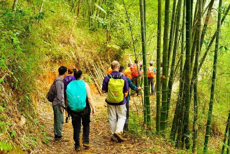 Mai Chau Trekking: A Journey into the Heart of Northern Vietnam