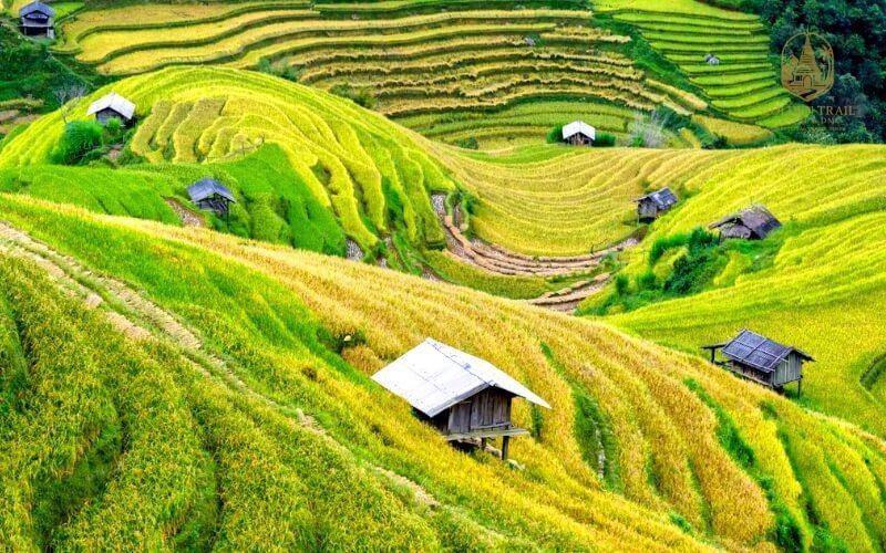 Pu Luong Nature Reserve: A Journey into the Heart of Vietnam's Untamed Beauty