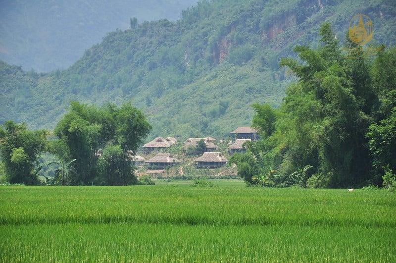 Pu Luong Tours: Your Gateway to an Authentic and Unforgettable Adventure