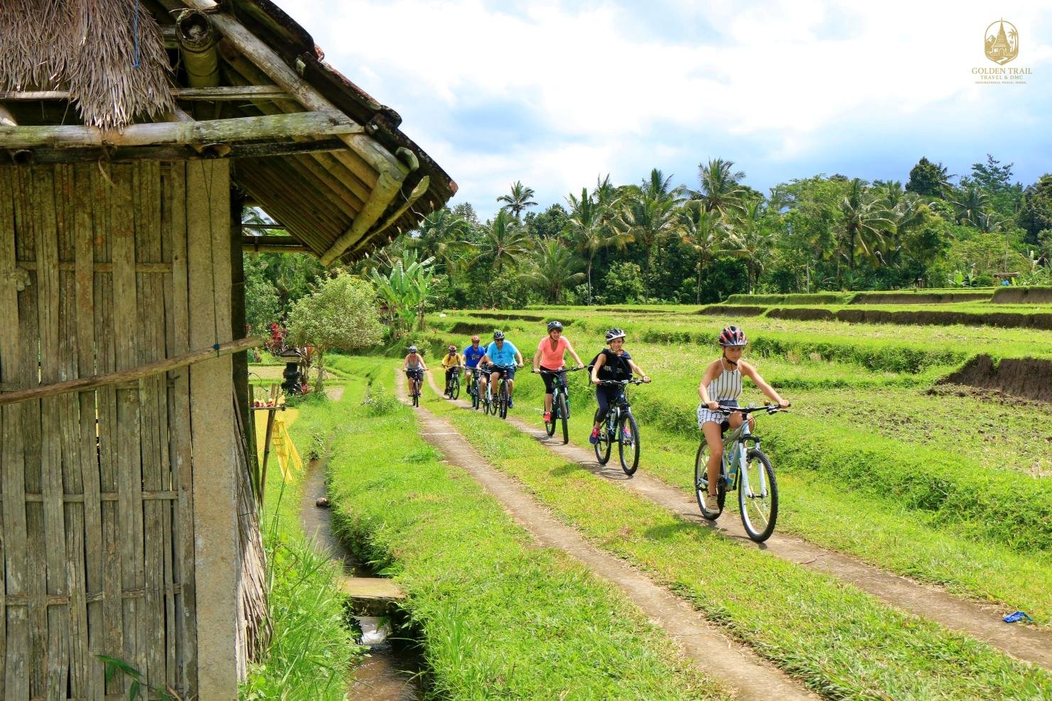 Cycling Through Rice Terraces: The Ultimate Guide to Vietnam’s Most Scenic Rural Adventure