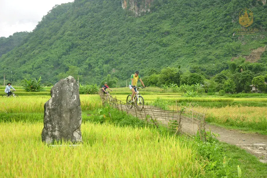 Best Time to Cycle Pu Luong: A Complete Guide to Weather, Seasons, and the Ideal Cycling Experience