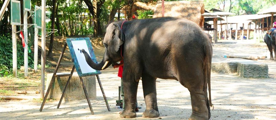 21 Days Vietnam, Cambodia, Laos and Thailand Highlights Tour