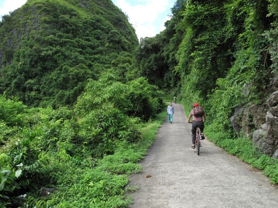 Cat Ba Island Cycling Travel