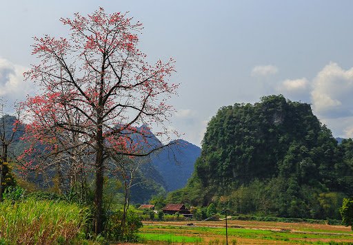 Hoa An Cao Bang Travel Guide