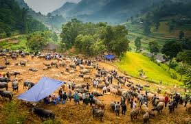 Bac Ha Trekking Guide