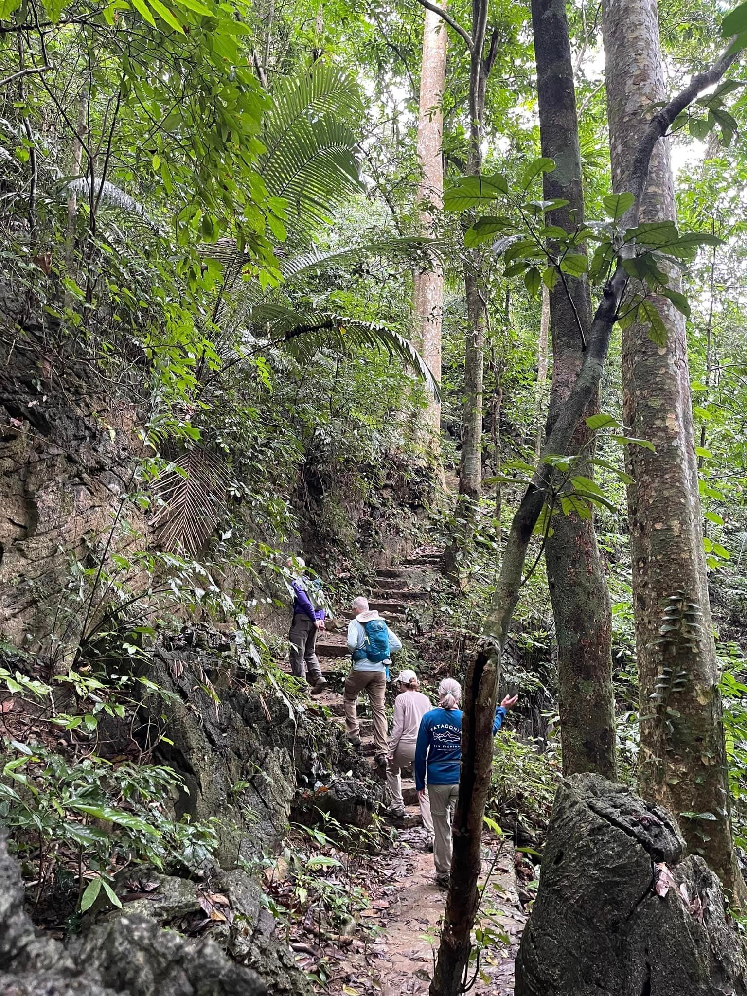 Dien Bien Vietnam Hiking