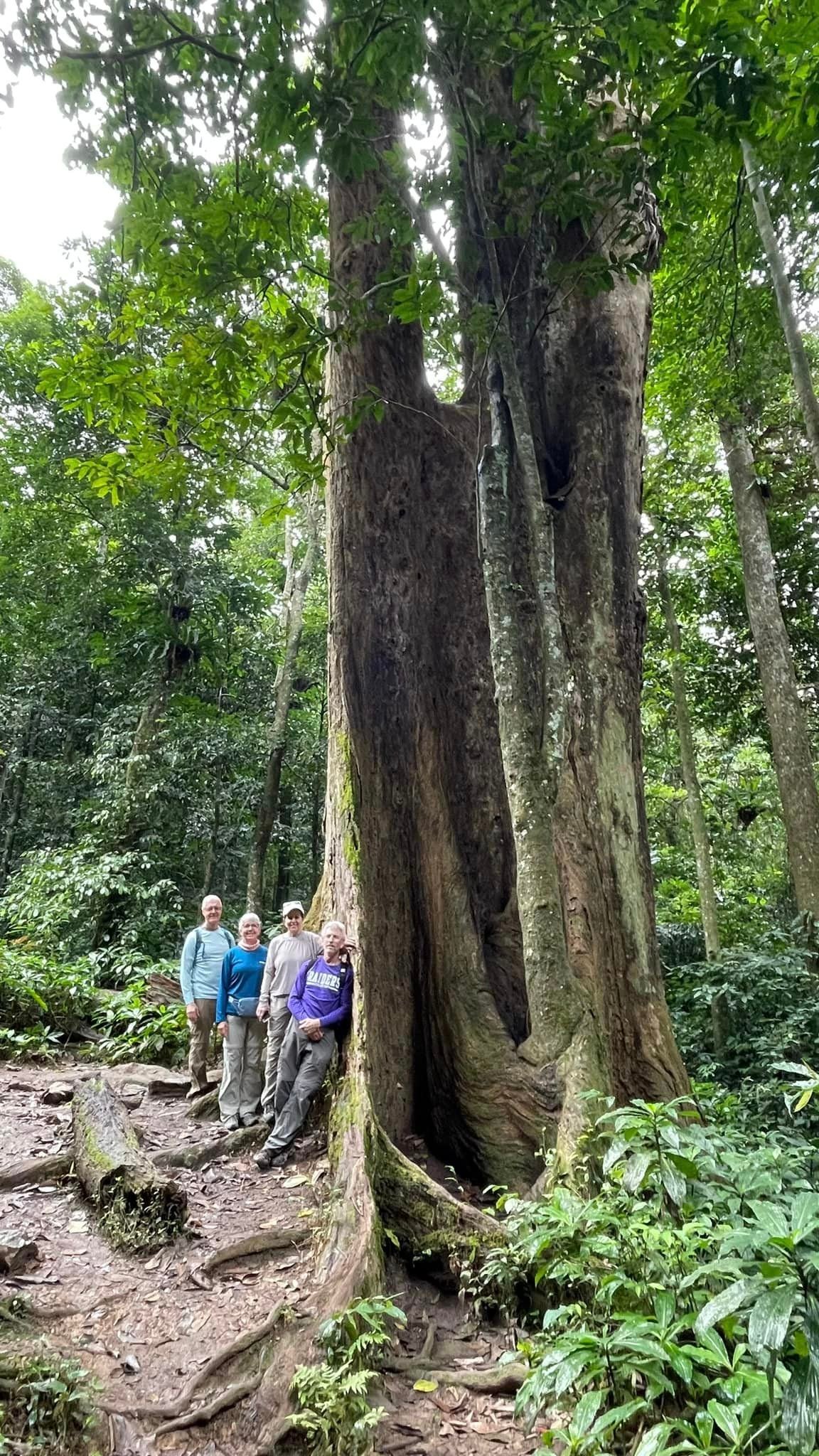 Hiking Muong Cha Dien Bien