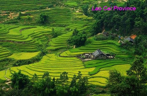 Lao Cai Vietnam Travel Guide