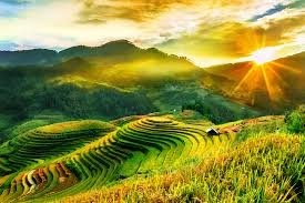 Trekking Sapa Guide