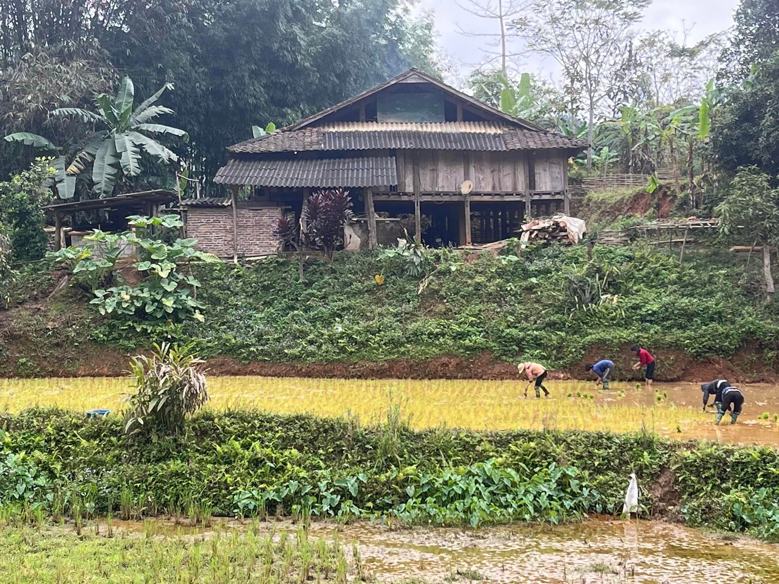 Trekking Dinh Hoa Thai Nguyen
