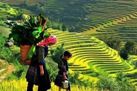Trekking Vietnam 5 Day Tours