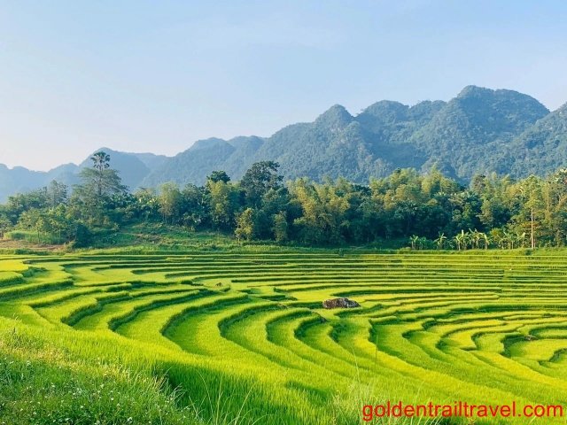 Journeying from Cuc Phuong to Ngoc Son Ngo Luong Natural Area 6 Days