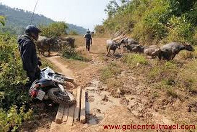 10 DAYS LAOS MOTORCYCLE TOURS