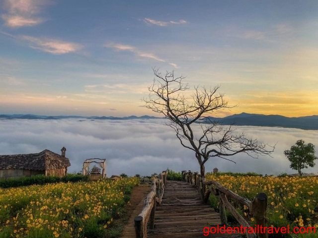 Discover the Magnificent Landscape of Central Vietnam 11 Days