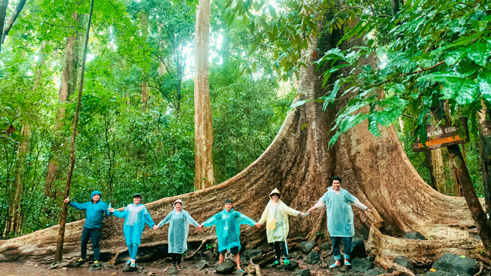Nam Cat Tien National Park