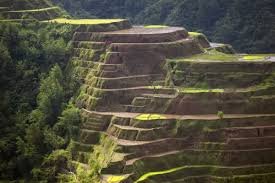 Rice Terraced Cordilleras
