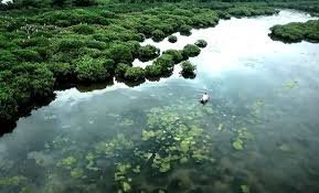 Xuan Thuy National Park