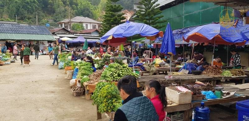 The Ultimate Guide to a Multi-Day Cycling Tour in Southeast Asia