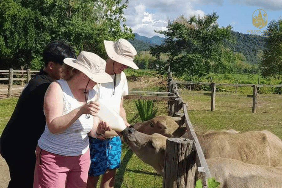 Explore Southeast Asia’s Treasures: Cambodia, Laos, and Thailand Tour