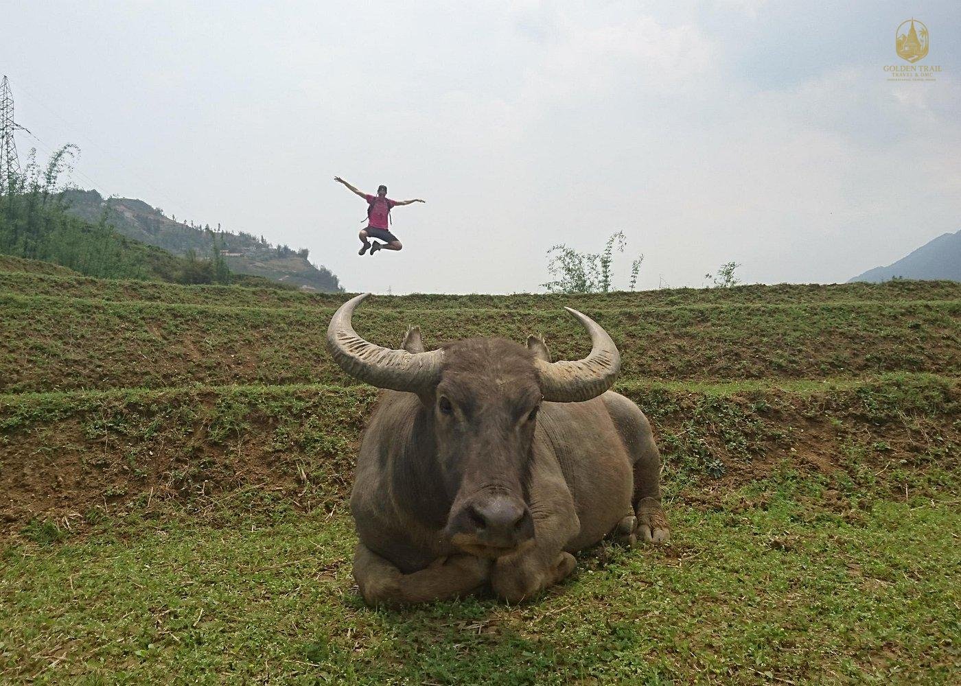 Sapa Trekking Tour: An Unforgettable Adventure in the Heart of Vietnam