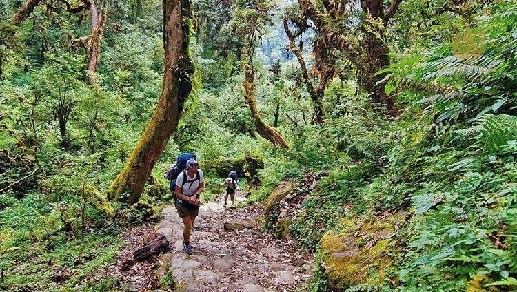 Conquer Lang Biang: The Ultimate Da Lat Trekking Adventure Awaits