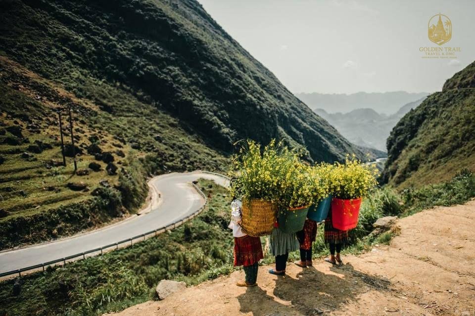 The Soul of the Highlands: A Deep Dive into Hmong Culture in Ha Giang