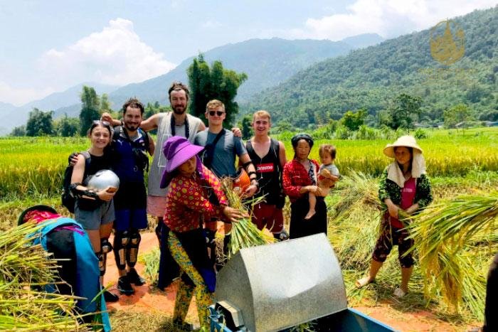 The Golden Tapestry of Ha Giang: An Unforgettable Harvest Season Experience