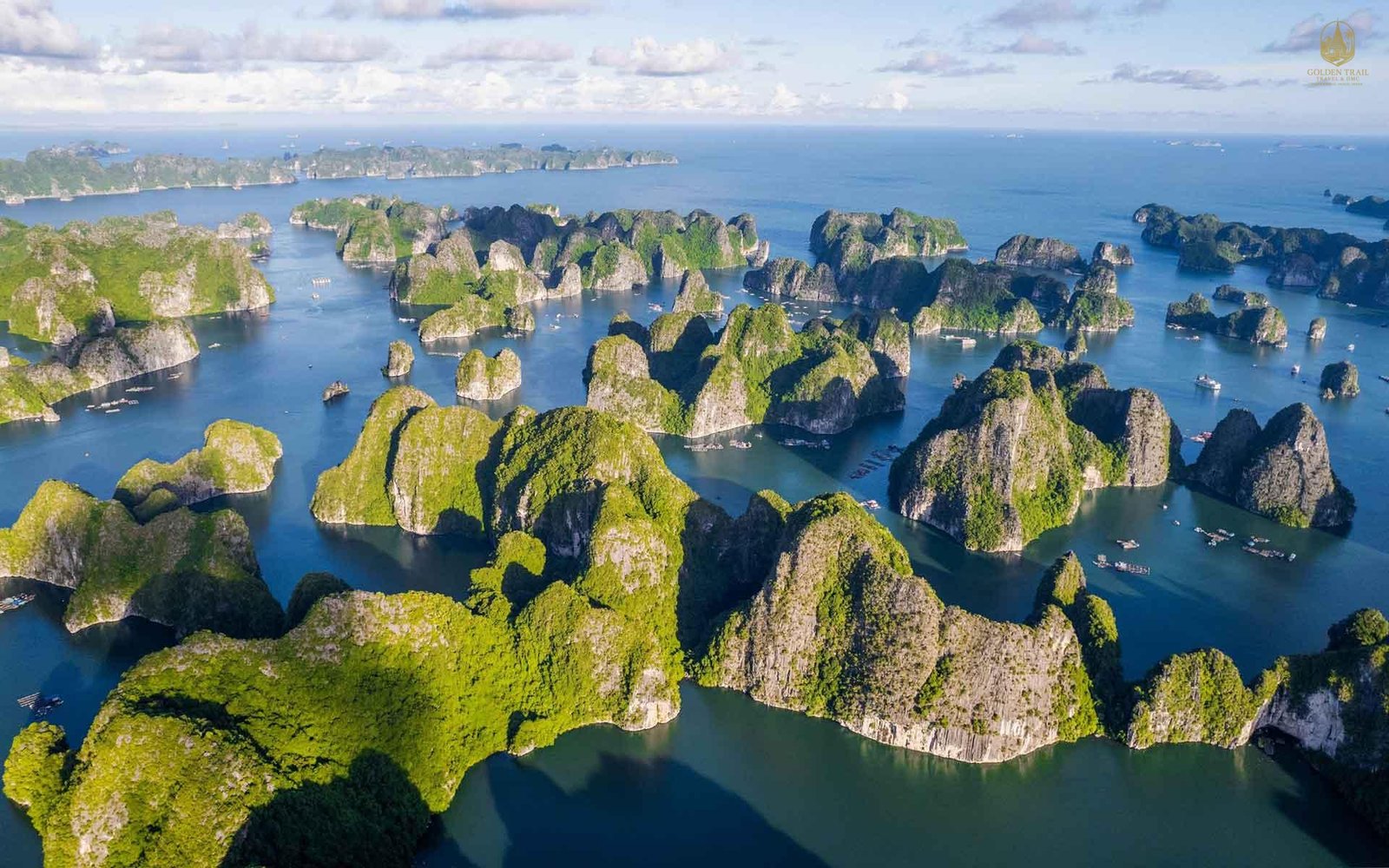 Ha Long Bay: A Legendary Voyage Through the Heart of Vietnam's Dragon