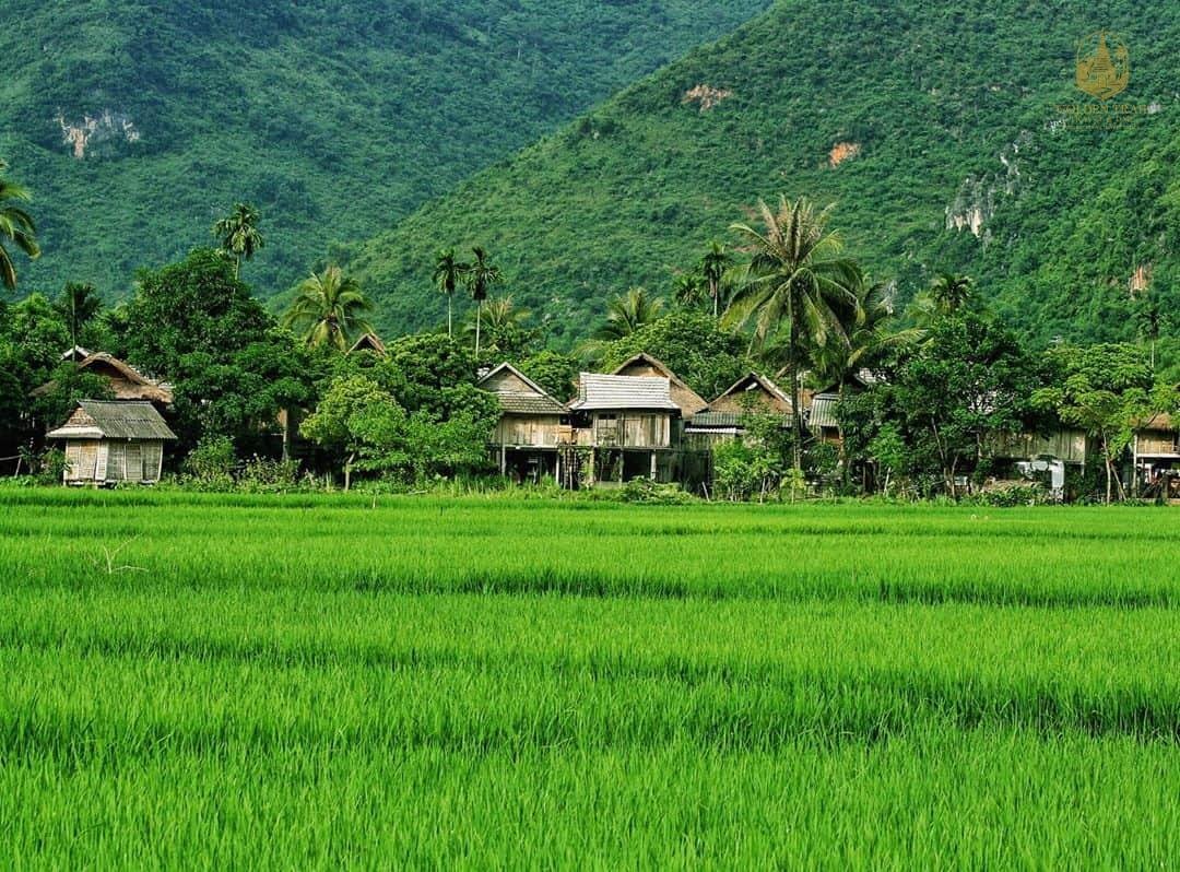 Mai Chau Village Tour: Your Gateway to an Authentic Vietnamese Escape