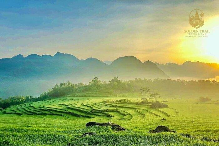 A Tapestry of Gold and Green: The Ultimate Rice Terraces Trekking Guide to Pu Luong