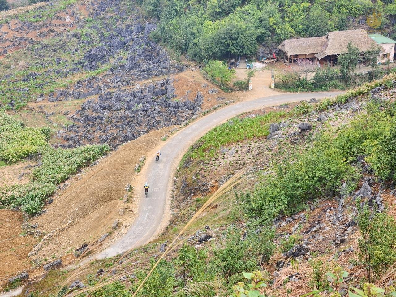 Cycling Holidays Vietnam: The Ultimate Guide to Two-Wheeled Adventures Through a Magical Land