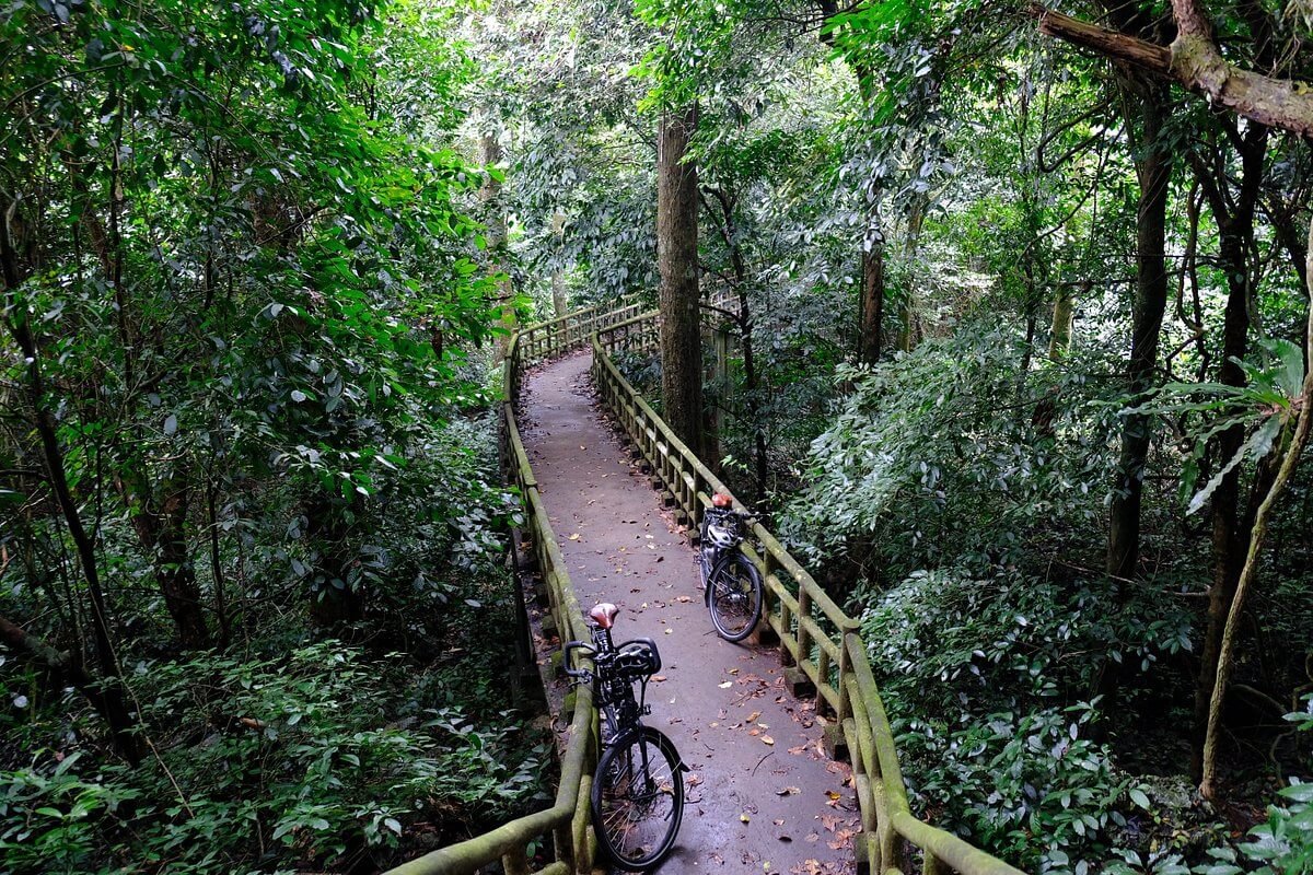 Cuc Phuong National Park Biking: The Ultimate Guide for Nature Lovers and Family Adventurers