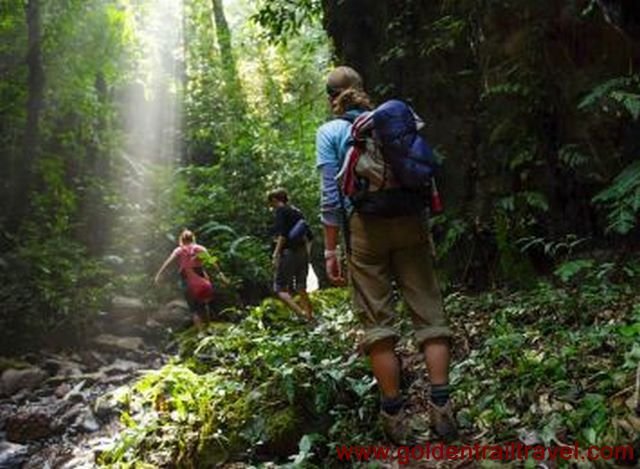 2 Days The Nam Nern Night Safari