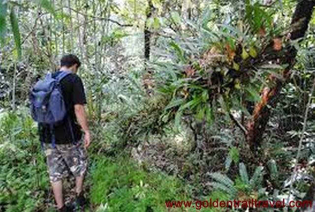 2 Days Trekking in Bolaven plateau in Pakse southern Laos