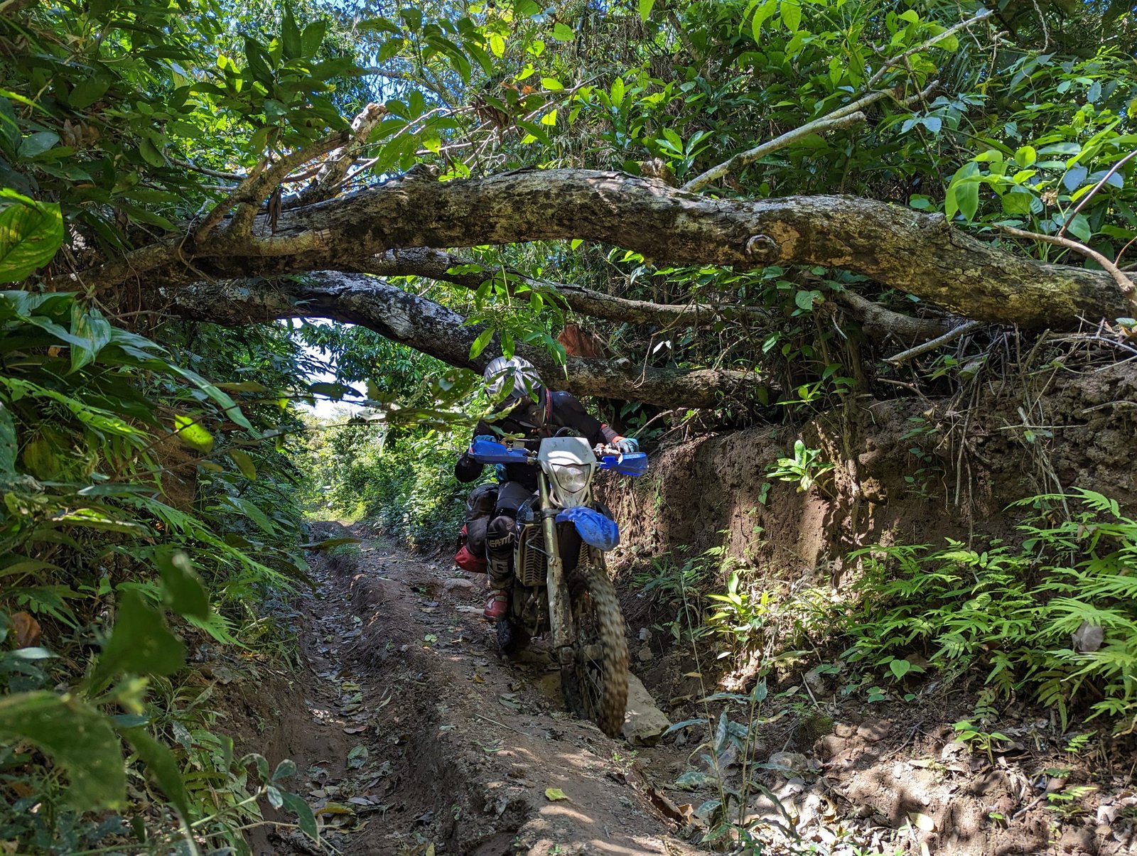 8 Days Cambodia Rainforest Off-Road Motorcycle