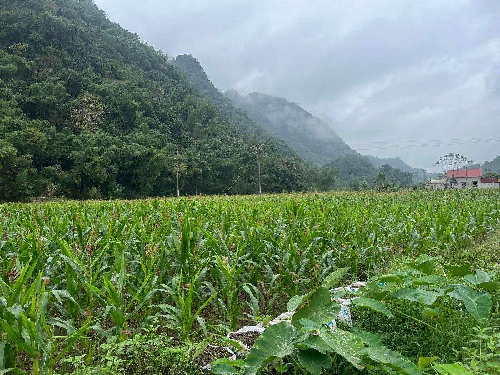 Dong Hy Thai Nguyen Hiking