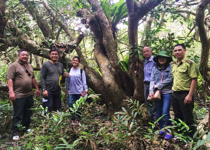 Bai Tu Long National Park