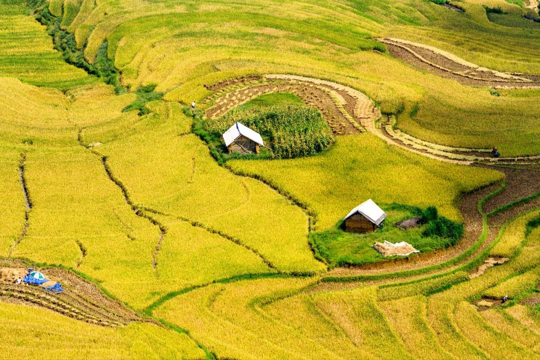 Gorgeous Sapa View Along With Mu Cang Chai Photo Tour 4 Days