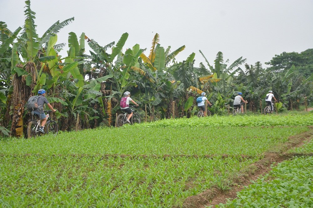 Hanoi Afternoon Bicycle Tour