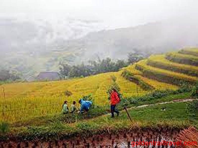 Hiking Hoang Su Phi Ha Giang 3 Day